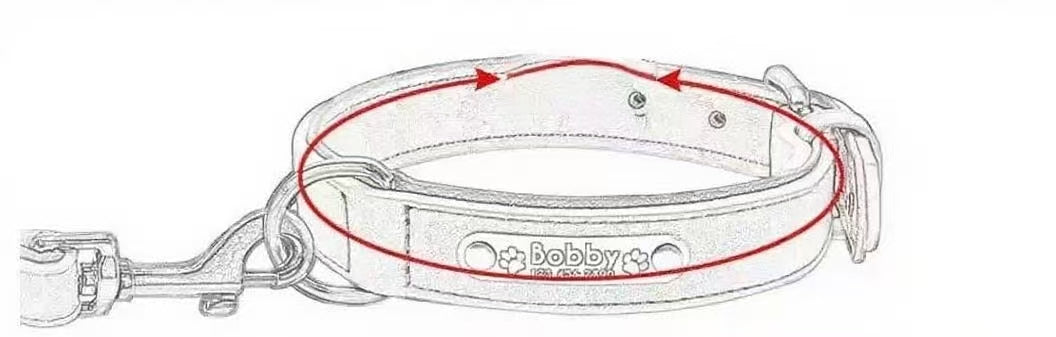 Personalized Pet Collar: A Special Tag for Your Furry Soulmate