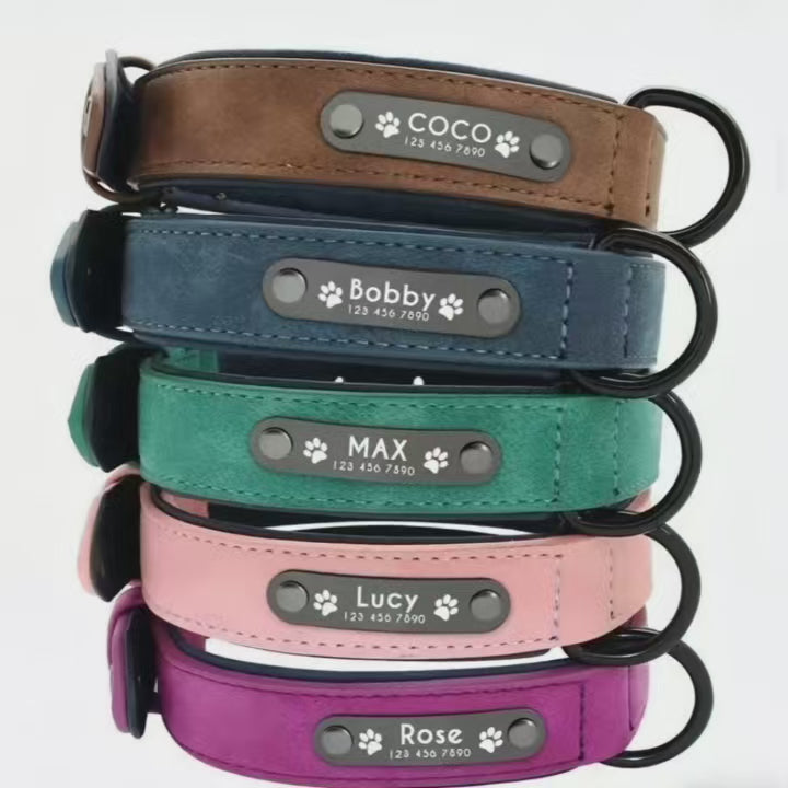 Personalized Pet Collar: A Special Tag for Your Furry Soulmate